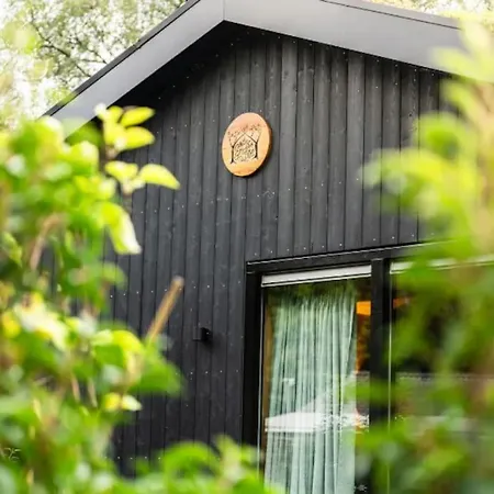 Boshuisje Bij Veluwe Met Hottub