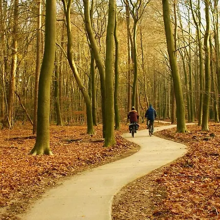 Holiday home Boshuisje Bij Veluwe Met Hottub Putten