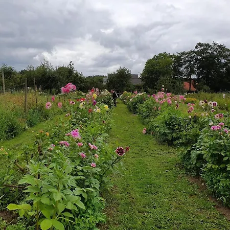 Boshuisje Bij Veluwe Met Hottub